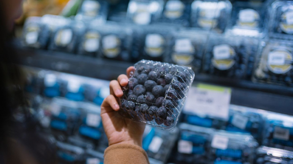 Blueberry Recall: FDA Issues Highest-Level Risk Warning for Listeria